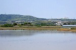 1605-s.jpg