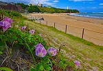 1806-s-s.jpg