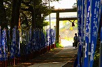 1808-s-s.jpg
