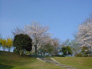 �썂��j�Ռ���