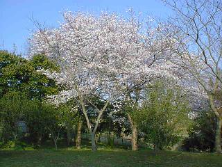 �썂��j�Ռ���2