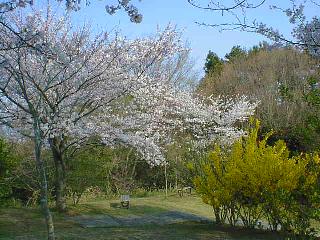 �썂��j�Ռ���3