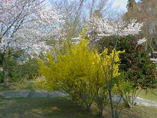 �썂��j�Ռ���4