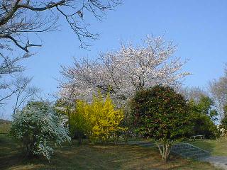 �썂��j�Ռ���5