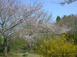 �썂��j�Ռ���