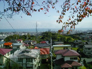 仲町学区の眺め