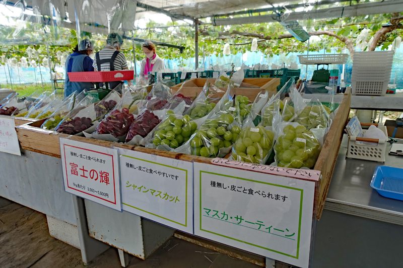 折笠のぶどう園