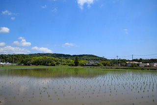 日立市南部田園