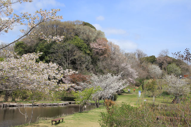 赤羽緑地公園