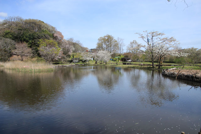 赤羽緑地公園