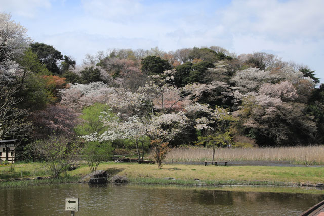 赤羽緑地公園