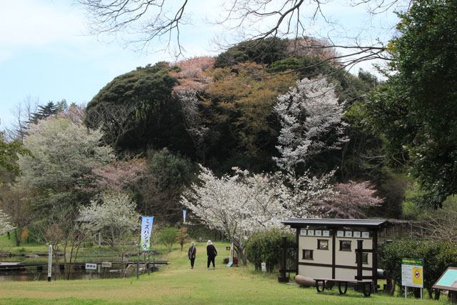 赤羽緑地公園