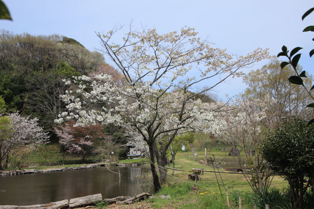 赤羽緑地公園