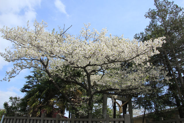 冨士神社