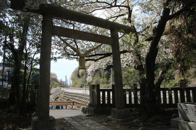 冨士神社境内