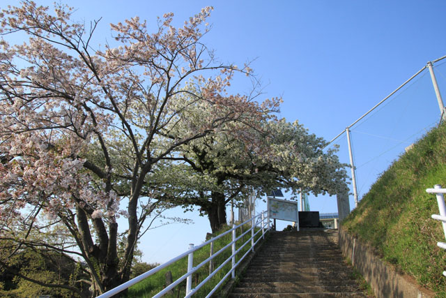 石段の頂上