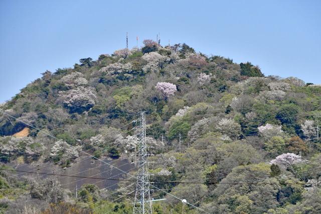 鞍掛山