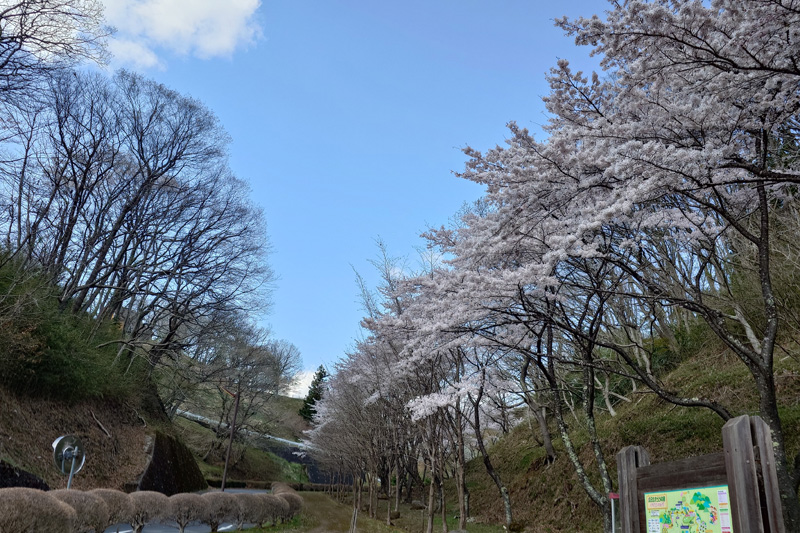 公園口