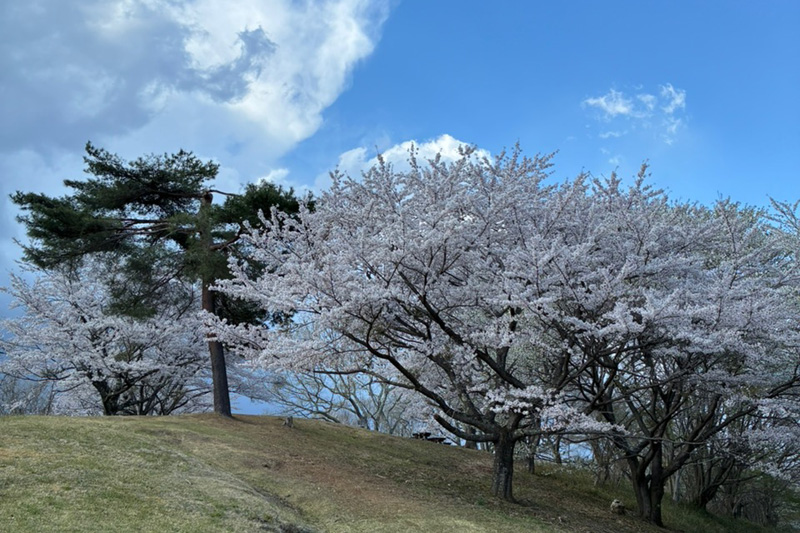 登山口の反対側