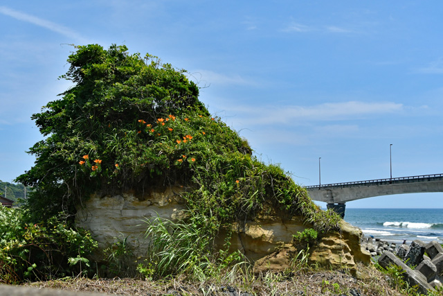 笠置島