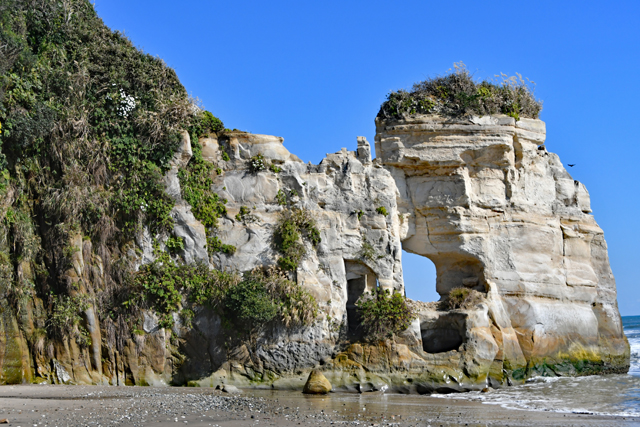 鮎川海岸