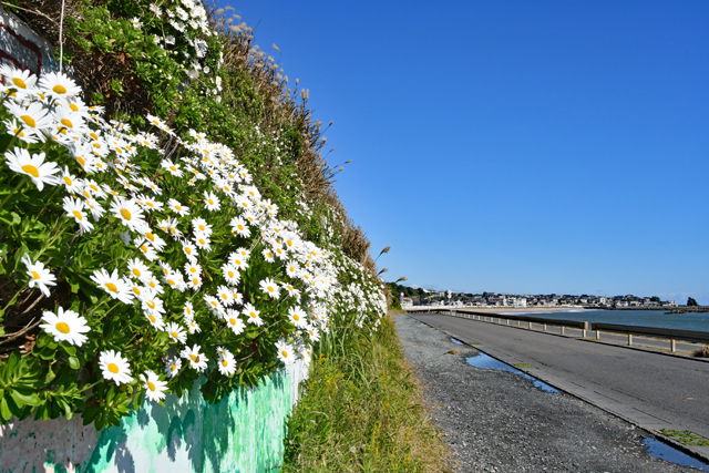 河原子海岸・南浜