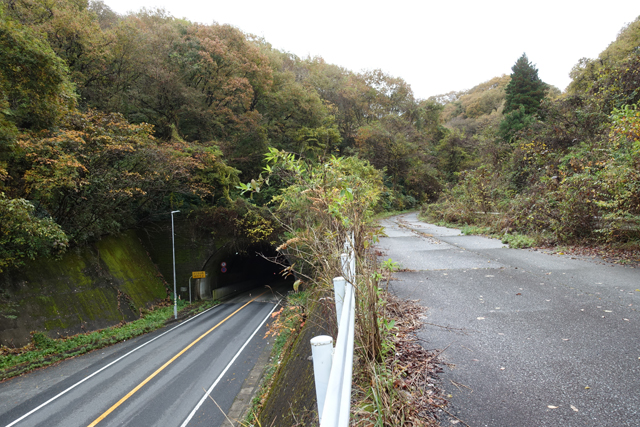 向陽台登山口