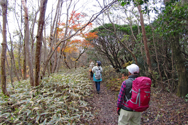 登山道