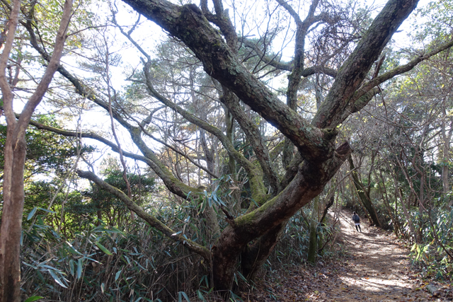 向陽台へ下山