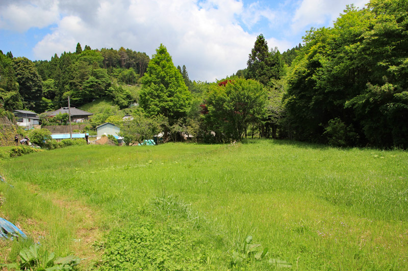 沢平